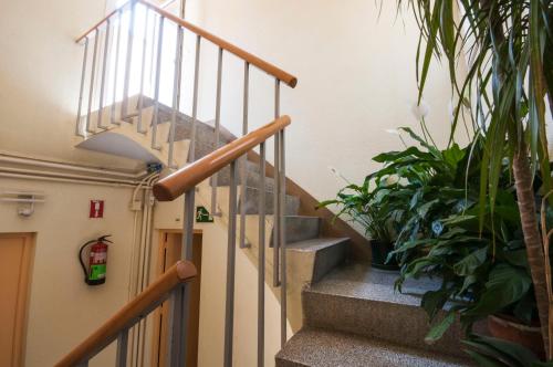 Albergue Studio Hostel