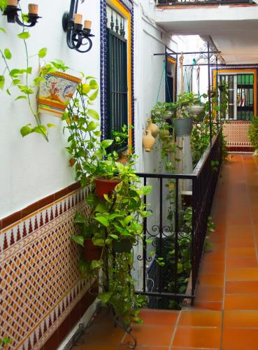 Pension Santa Maria La Blanca