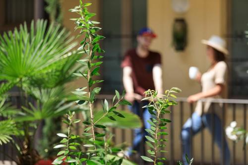 Matabi Hotel Gare Toulouse by HappyCulture