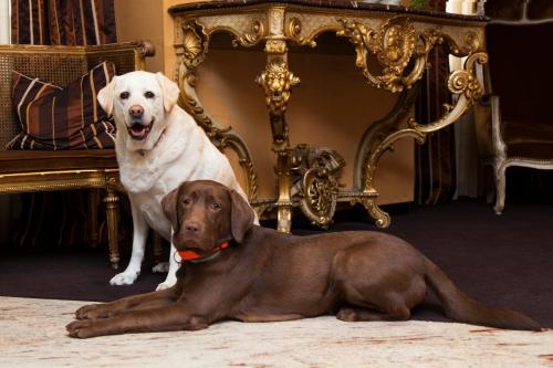 Best Western Plus Hotel Monopole Métropole