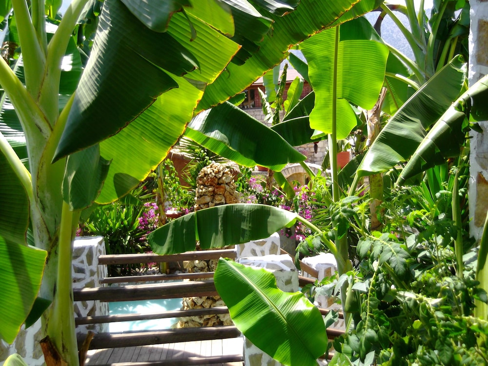 Stone Village Petrino Horio