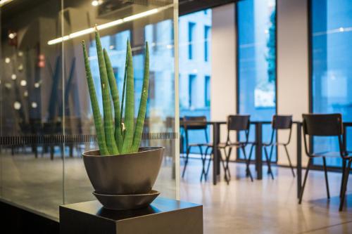 Antwerp Central Youth Hostel