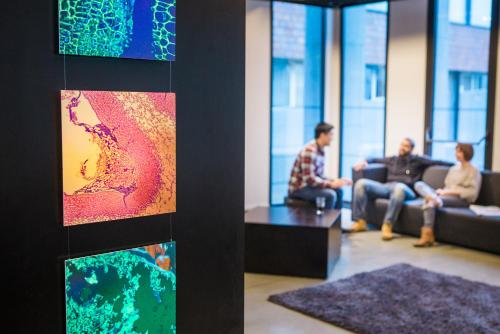 Antwerp Central Youth Hostel