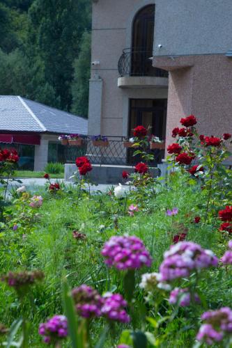 Jermuk Verona Resort