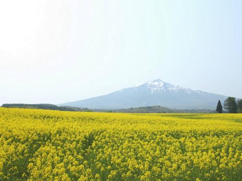 APA Hotel Aomorieki Kenchodori