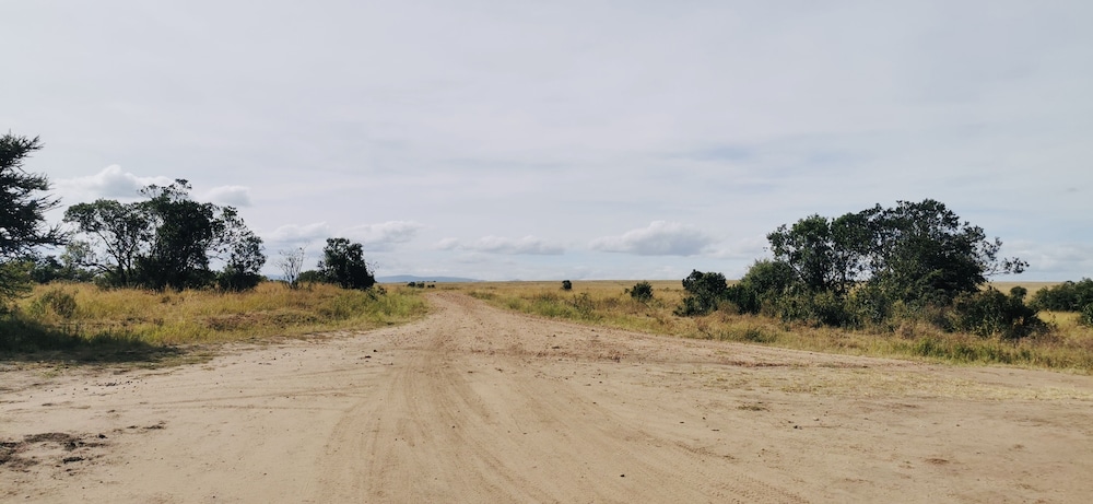 Fig Tree Camp - Maasai Mara