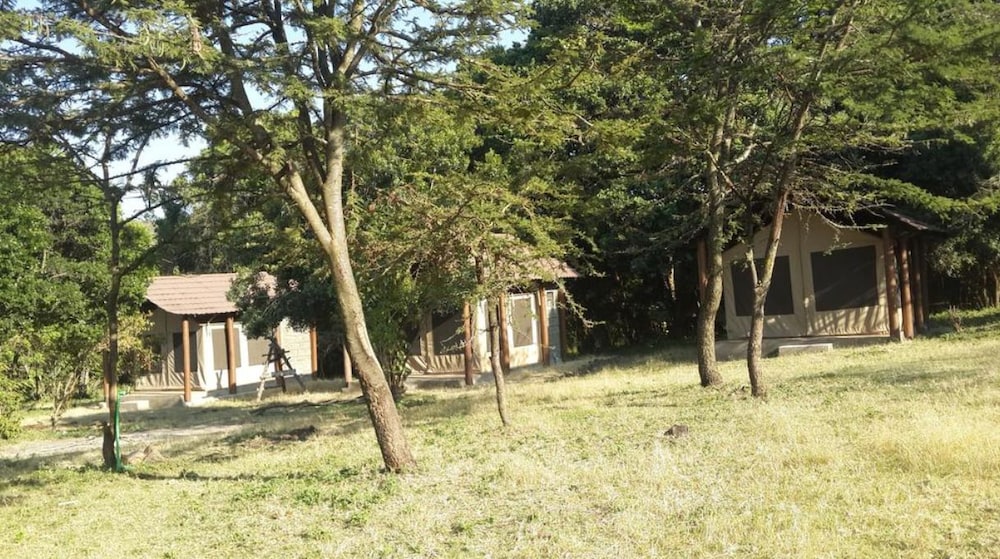 Maasai Mara Springs Safari Camp