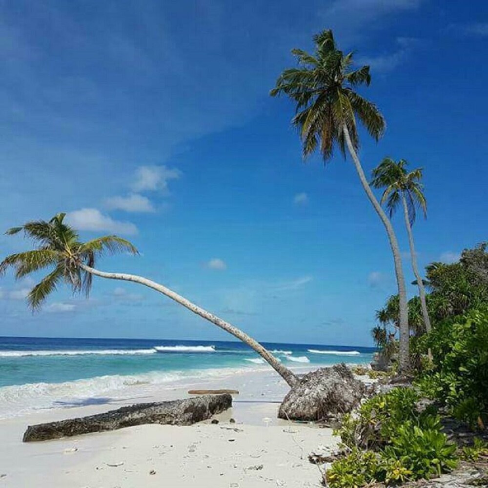 Charming Holiday Lodge