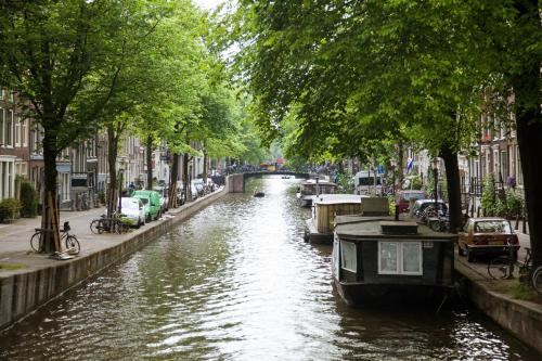 The Flying Pig Uptown Hostel