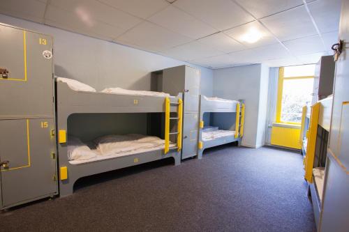 The Flying Pig Downtown Youth Hostel