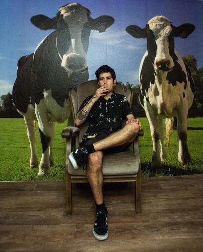 The Flying Pig Downtown Youth Hostel