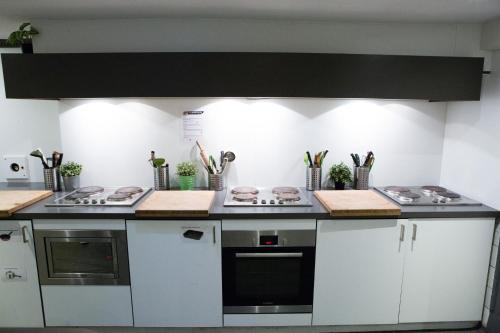 The Flying Pig Downtown Youth Hostel