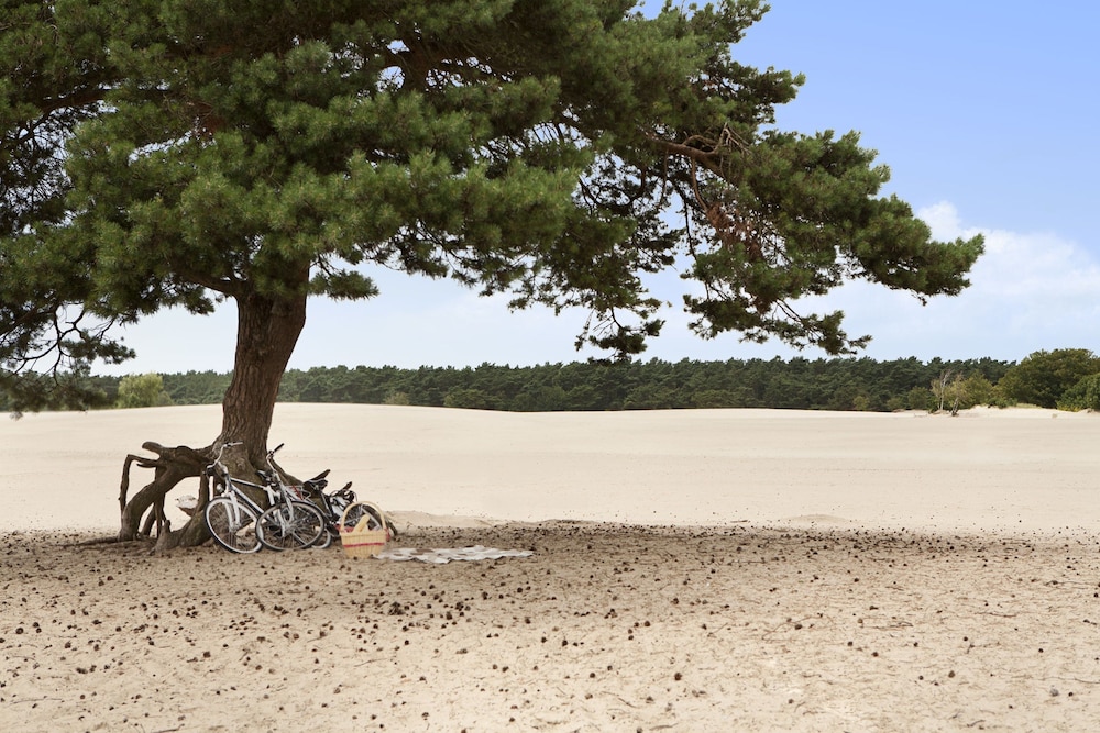 DoubleTree by Hilton Royal Parc Soestduinen