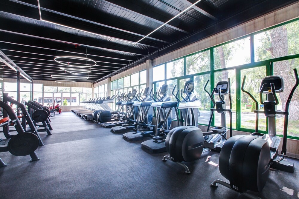 Vnukovo Village Park Hotel & Spa