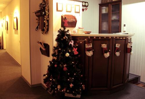 Davidov Guest House