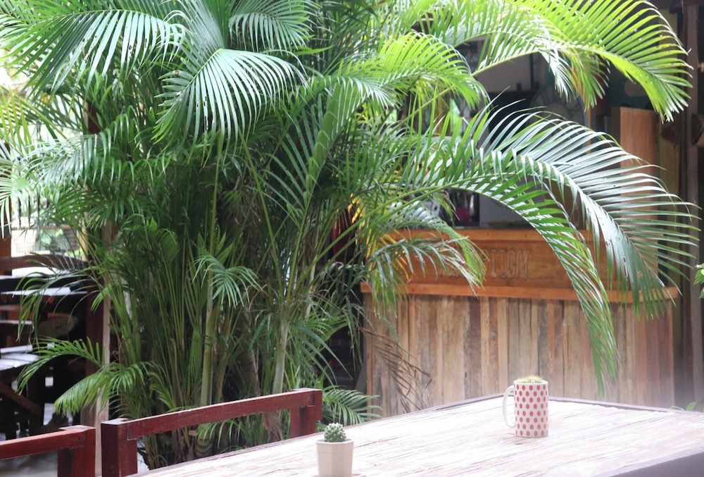 Trekker Camp Chiang Mai