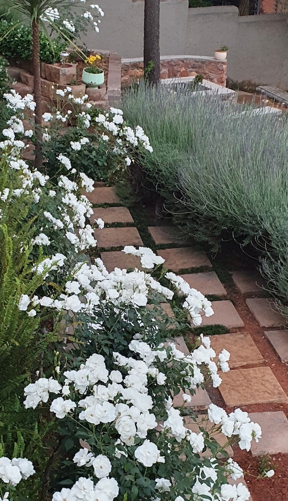 Over The Moon Guesthouse