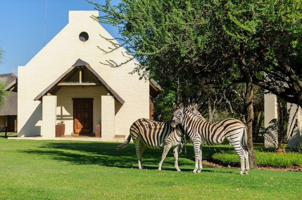 Mongena Private Game Lodge