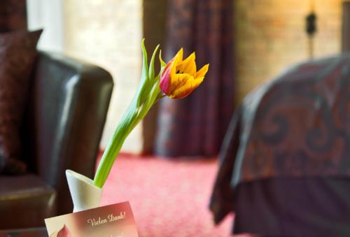 cinderella.kreuzberg