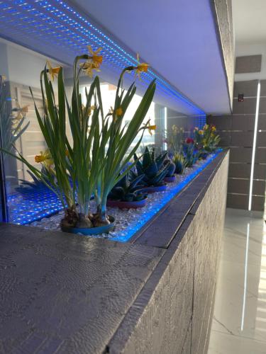 Hotel Borbonico Di Pietrarsa