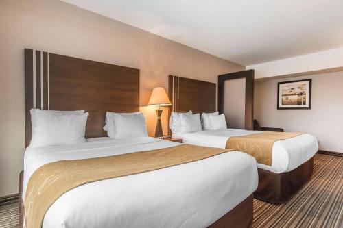 Comfort Suites Downtown