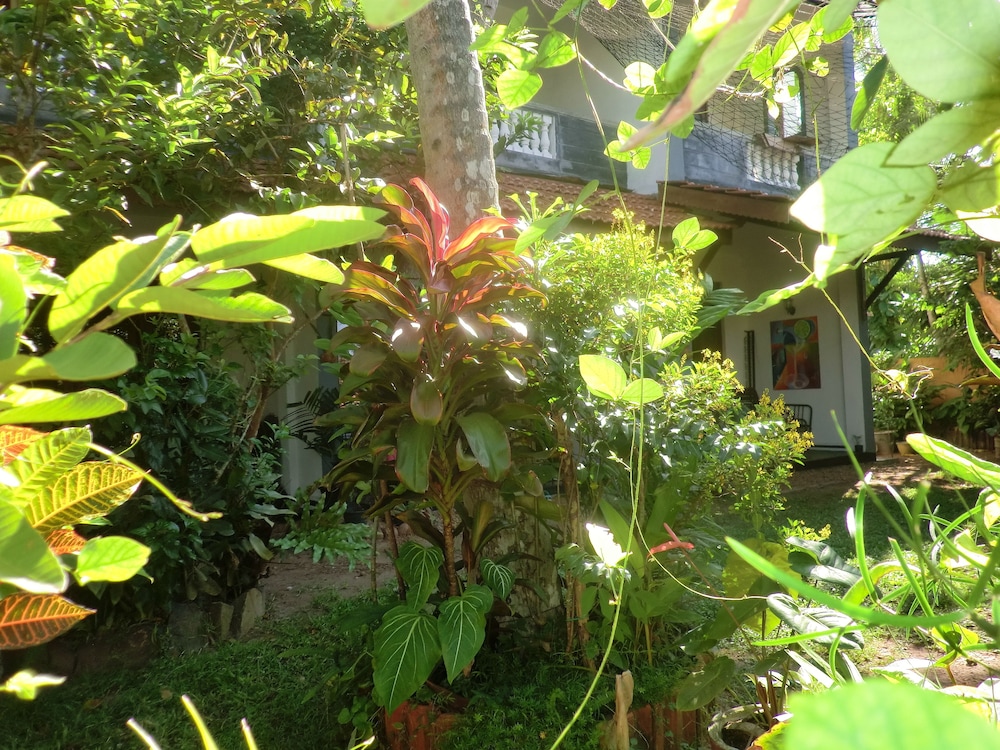 Peacock Wings Guest House