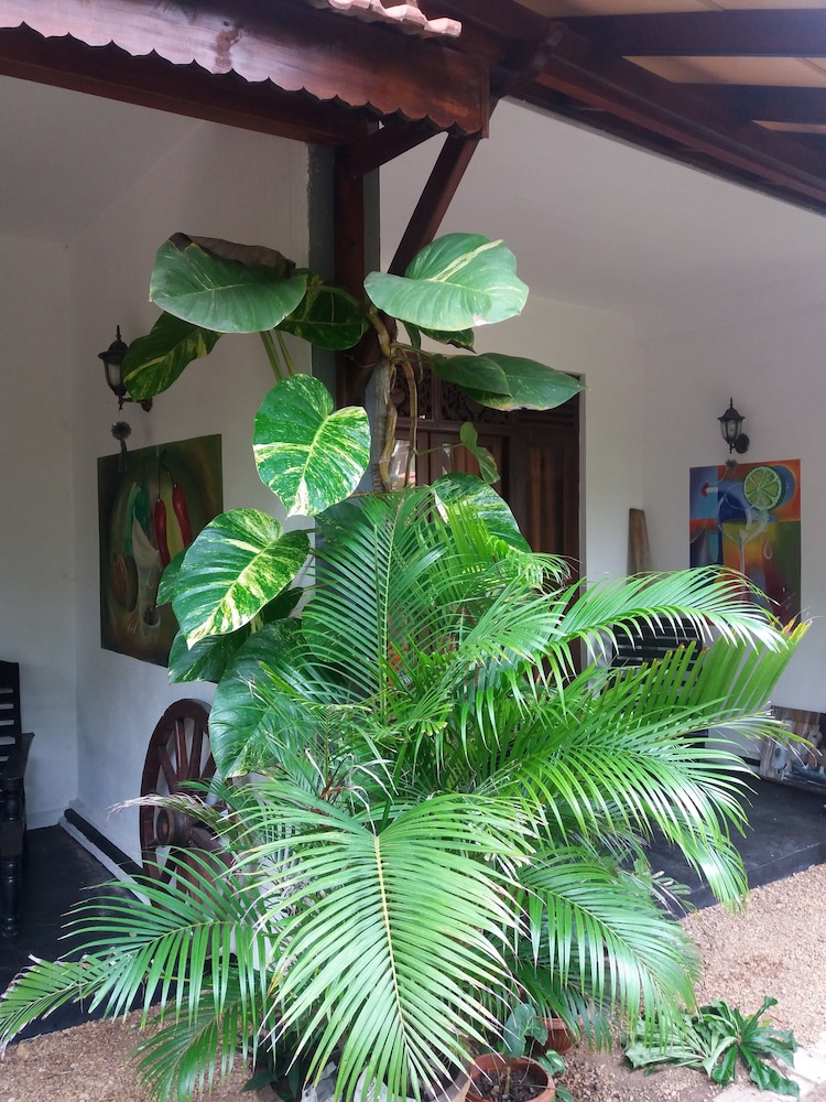 Peacock Wings Guest House