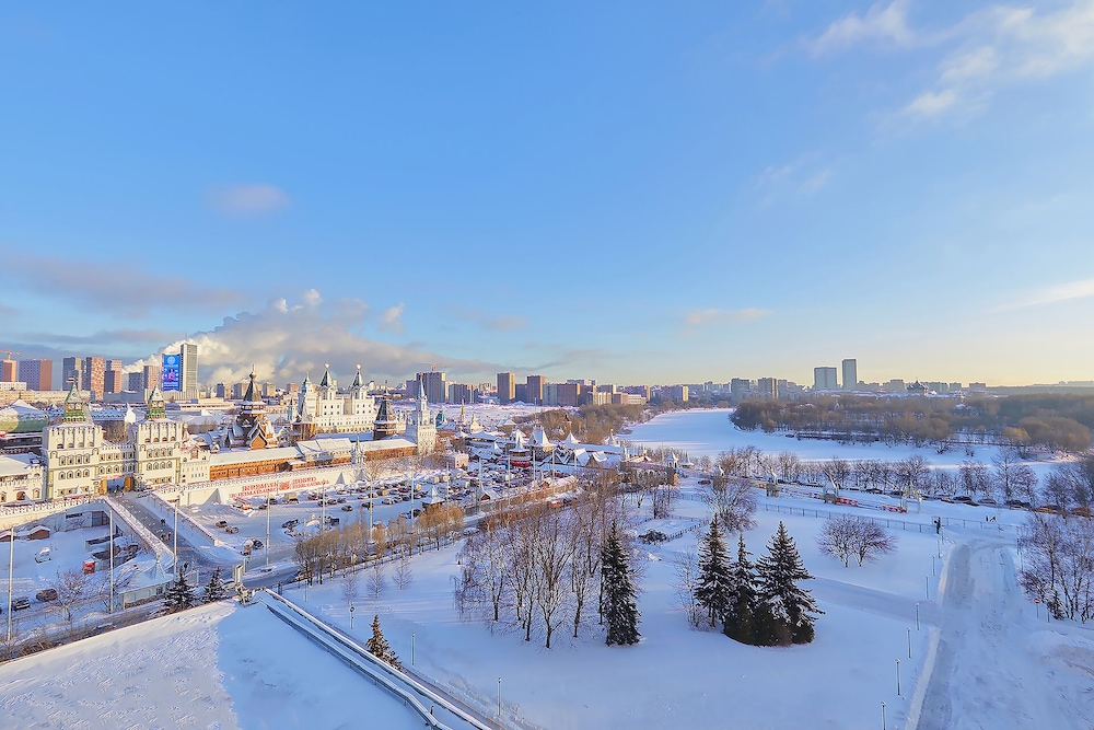 Izmailovo Delta Hotel