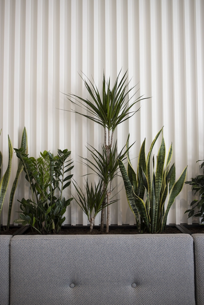 Best Western Premier Hotel Roosevelt