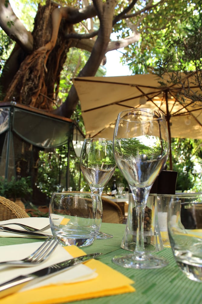 Le Windsor, Jungle Art Hotel