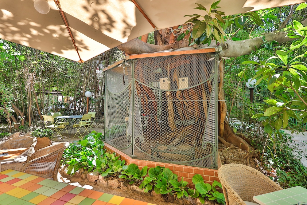 Le Windsor, Jungle Art Hotel