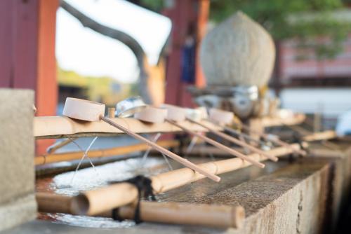 Stay Sakura Kyoto Gion Miyagawa