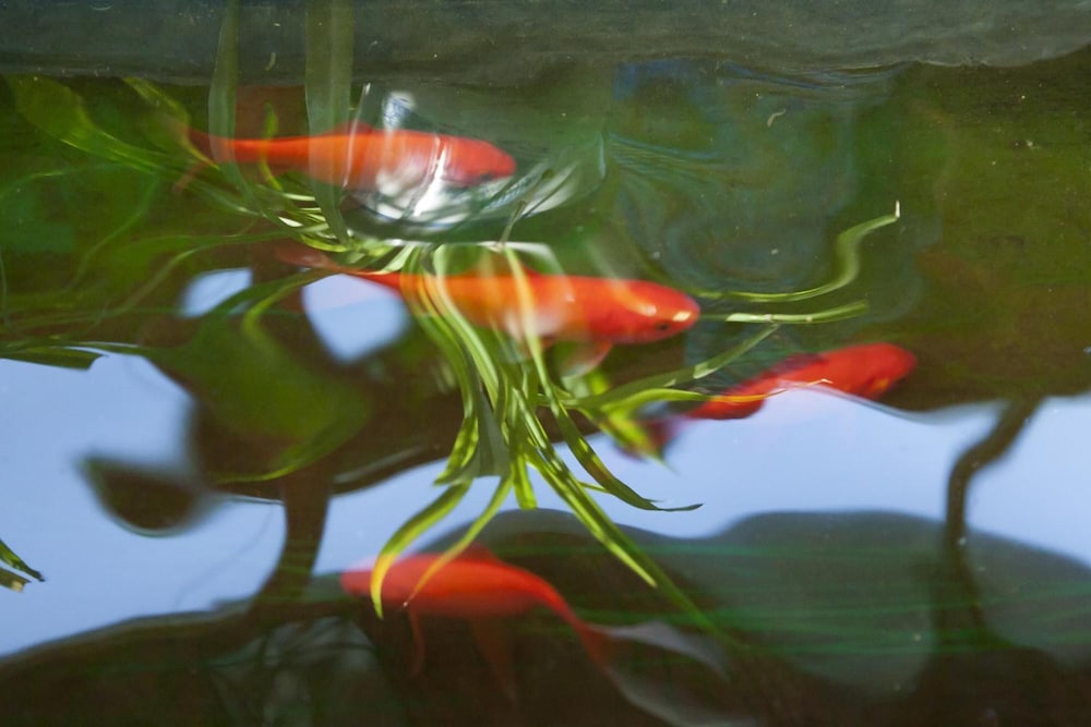 The Great Wall Courtyard Hostel