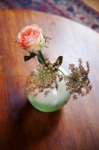 Logement Swaenenvecht