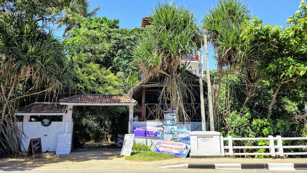 Flora and Fauna Mirissa Guest House