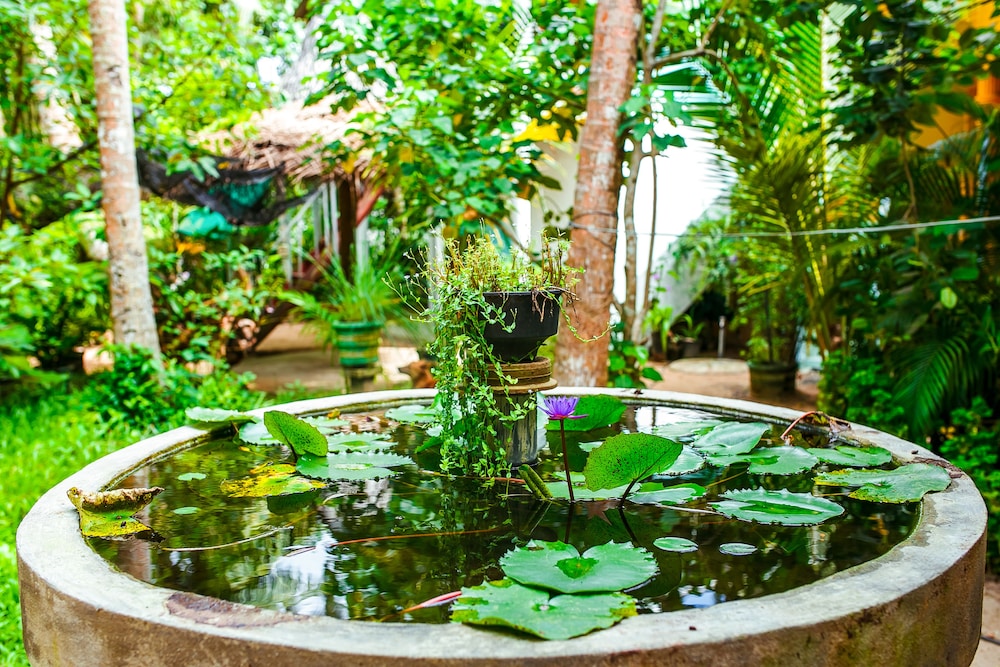 Flora and Fauna Mirissa Guest House