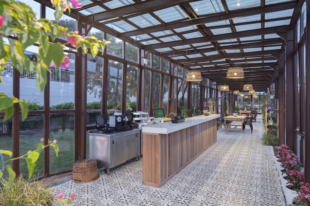 Nirvana Cosmopolitan