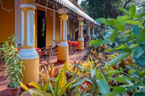Bougainvillea Granpa''s Inn