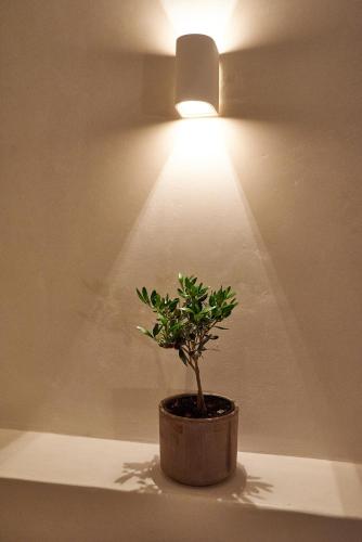 Blanco Rooms Mykonos