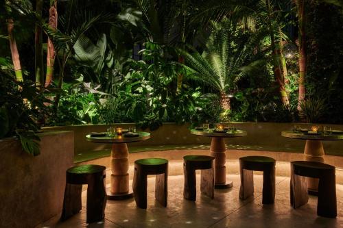 Hollywood Volume, a Tribute Portfolio Hotel