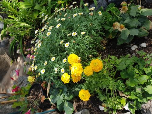 Hotel Rural Finca la Raya