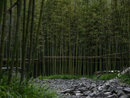 Mumian Beijing Daxing International Airport