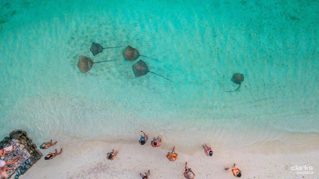 Clarks Exotica Kamadhoo Maldives