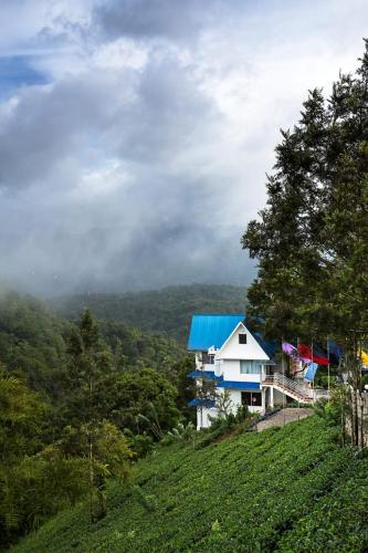 Eterno Camellia and Elettaria