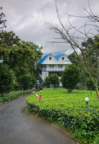 Eterno Camellia and Elettaria