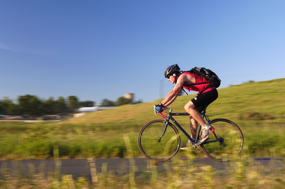 Best Western Plus University Inn