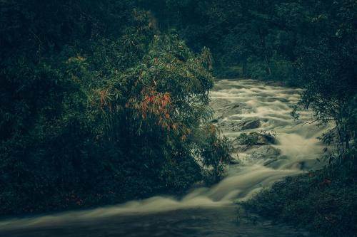 Ela Ecoland Nature Retreat