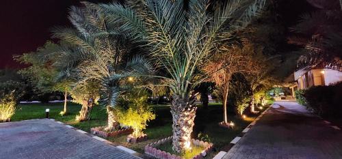 Basrah International Airport Hotel