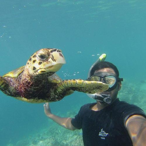 Dhonfulhafi Beach View & Spa