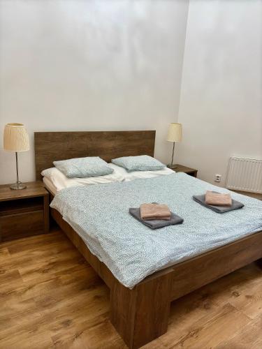 Apartment Belveder Brno